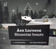 Sluneční bouře